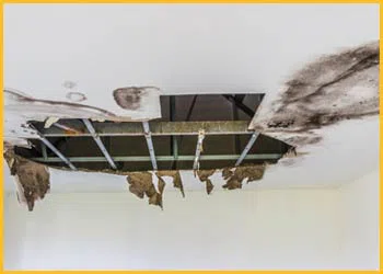 Boca Raton Restoration Company Boca Raton, FL 561-275-5990 - cont-img-water-damages