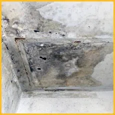 Boca Raton Restoration Company Boca Raton, FL 561-275-5990 - sidebar-img-mold