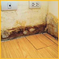 Boca Raton Restoration Company Boca Raton, FL 561-275-5990 - sidebar-img-water-damage